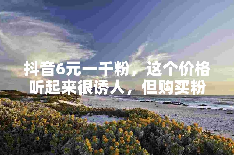 抖音6元一千粉，这个价格听起来很诱人，但购买粉丝并不能保证账号的长期发展和影响力。