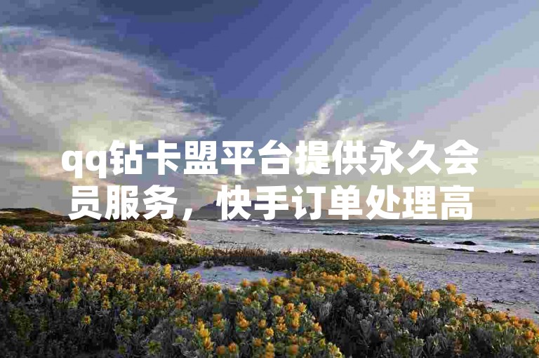 qq钻卡盟平台提供永久会员服务，快手订单处理高效便捷。
