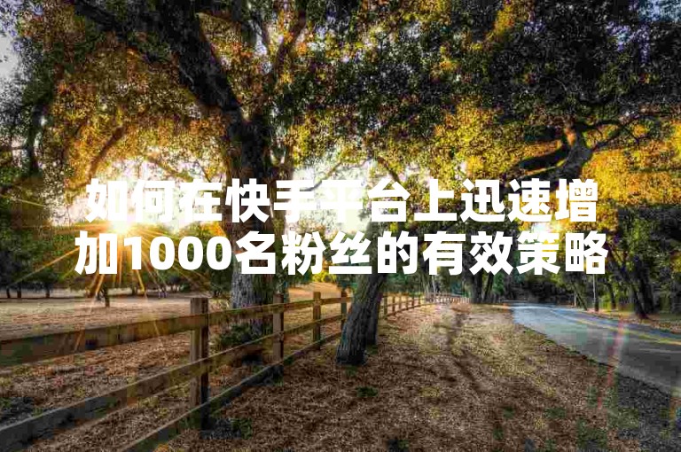 如何在快手平台上迅速增加1000名粉丝的有效策略有哪些？