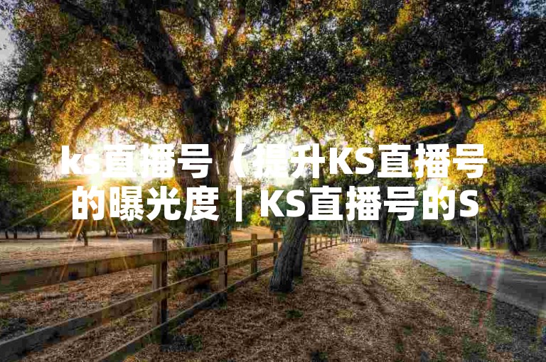 ks直播号（提升KS直播号的曝光度｜KS直播号的SEO优化技巧）