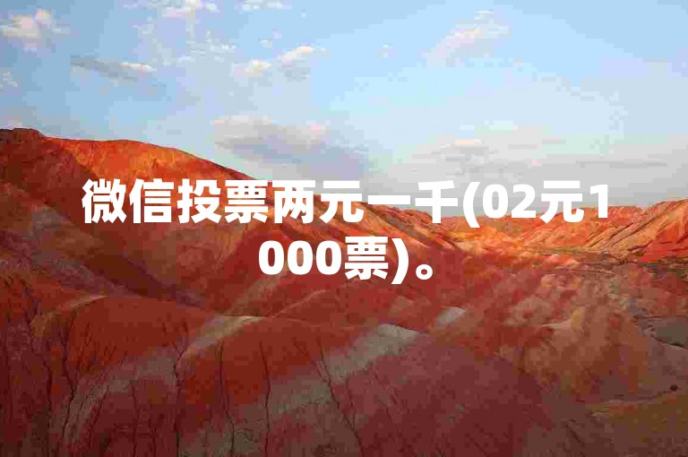 微信投票两元一千(02元1000票)。