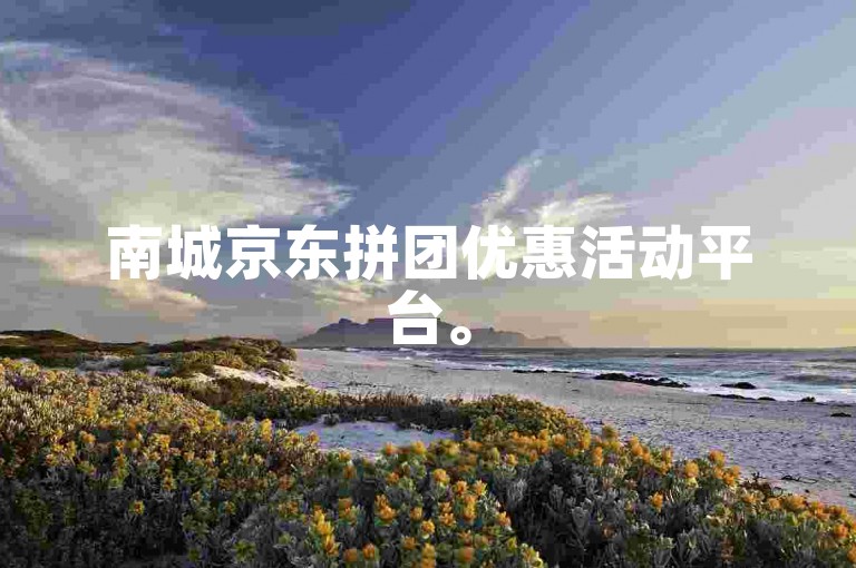 南城京东拼团优惠活动平台。