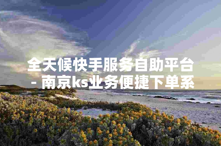 全天候快手服务自助平台 - 南京ks业务便捷下单系统。