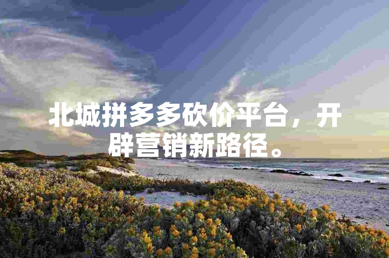 北城拼多多砍价平台，开辟营销新路径。