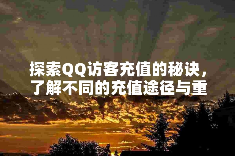 探索QQ访客充值的秘诀，了解不同的充值途径与重要提示，让你在2025年成为行家里手！