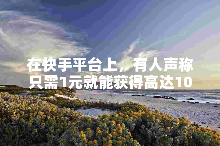 在快手平台上，有人声称只需1元就能获得高达10000万的假粉丝，并且还承诺这是完全免费的服务。