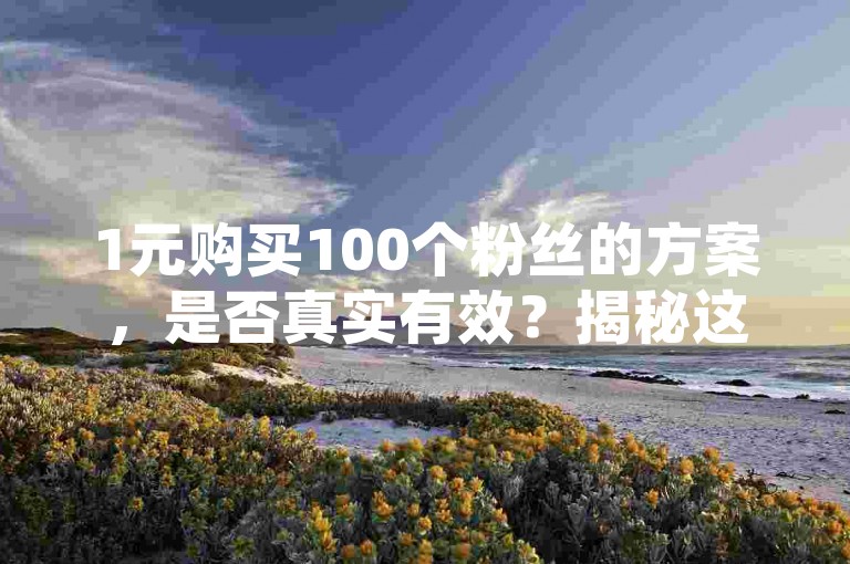 1元购买100个粉丝的方案，是否真实有效？揭秘这一促销手段的背后真相，为社交媒体新人提供必知信息！