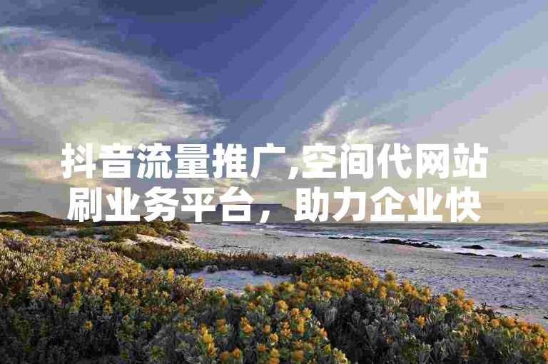 抖音流量推广,空间代网站刷业务平台，助力企业快速提升品牌知名度。