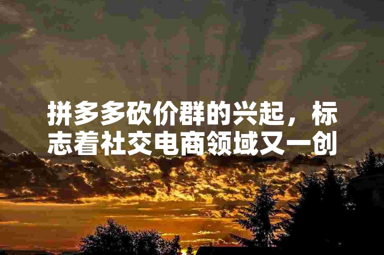 拼多多砍价群的兴起，标志着社交电商领域又一创新互动模式的诞生。