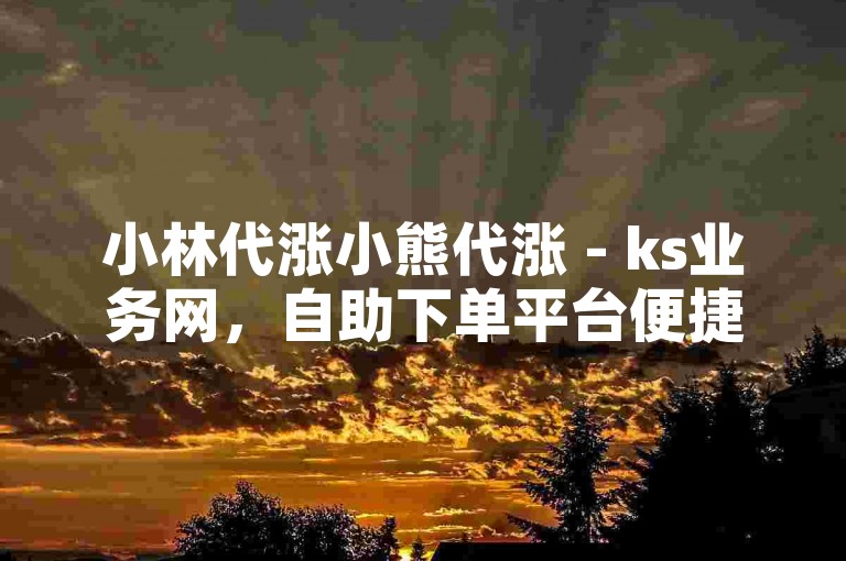 小林代涨小熊代涨 - ks业务网，自助下单平台便捷高效。