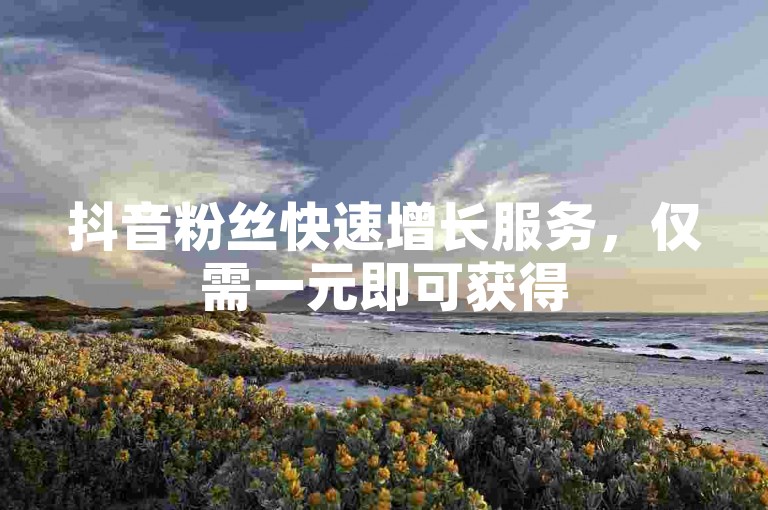 抖音粉丝快速增长服务，仅需一元即可获得500赞。