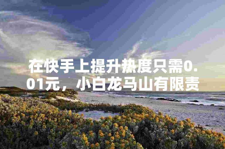 在快手上提升热度只需0.01元，小白龙马山有限责任公司提供的网红云商城自助下单软件和ks免费业务平台确保不掉线，快赞自助下单入口让一切变得简单。