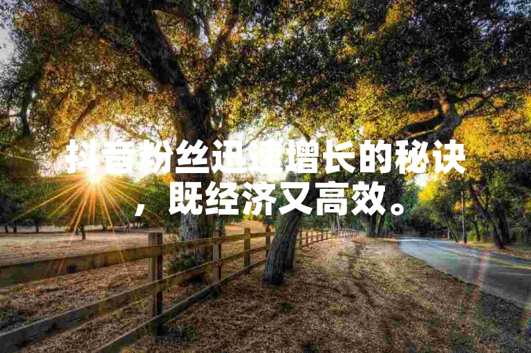 抖音粉丝迅速增长的秘诀，既经济又高效。