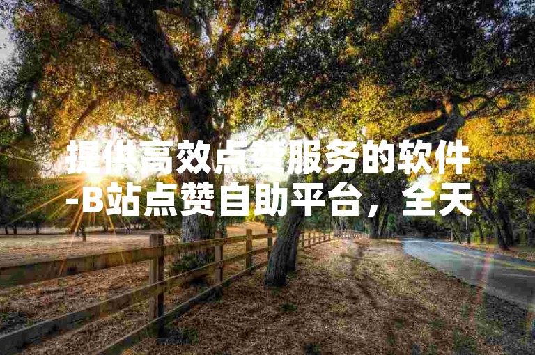 提供高效点赞服务的软件-B站点赞自助平台，全天候不间断处理订单的在线网站。