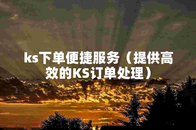 ks下单便捷服务（提供高效的KS订单处理）