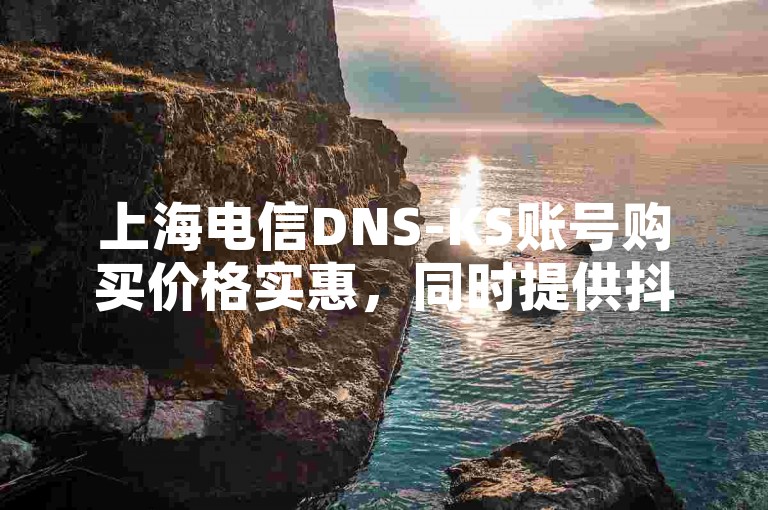 上海电信DNS-KS账号购买价格实惠，同时提供抖音粉丝增长服务。