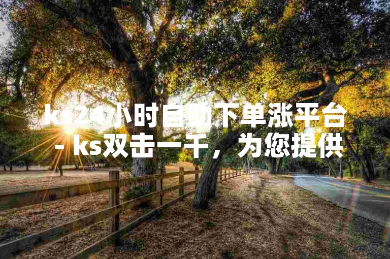 ks24小时自助下单涨平台 - ks双击一千，为您提供便捷的服务。