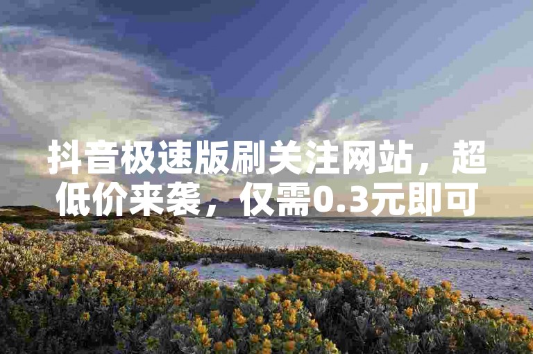 抖音极速版刷关注网站，超低价来袭，仅需0.3元即可获得1000次关注，自助操作，快速提升人气。