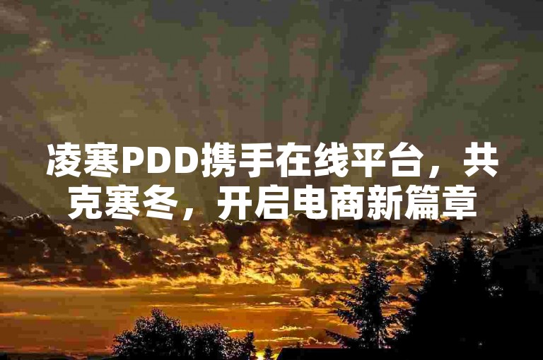 凌寒PDD携手在线平台，共克寒冬，开启电商新篇章。