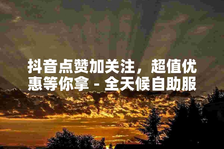 抖音点赞加关注，超值优惠等你拿 - 全天候自助服务，享受全网最实惠的推广价格。