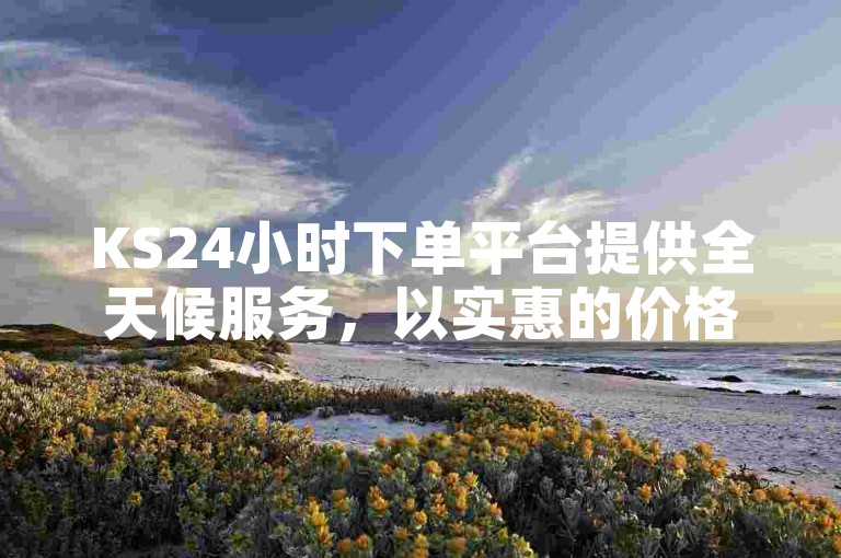 KS24小时下单平台提供全天候服务，以实惠的价格满足您的购物需求。