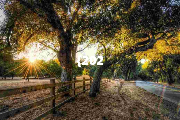 {2025多多助力群}拼多多大富翁活动快速成功秘诀分享。