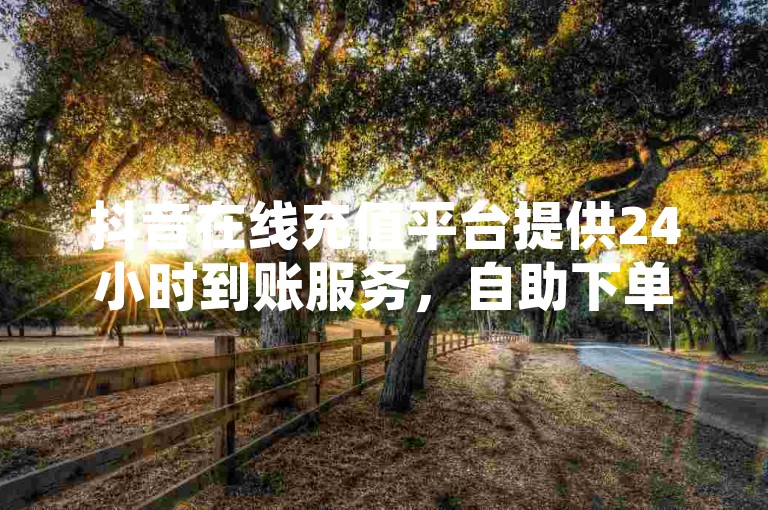 抖音在线充值平台提供24小时到账服务，自助下单网红助手，全网业务自助下单商城，抖音买站0.5块钱100个。