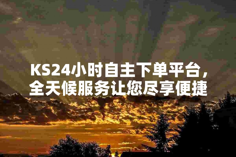 KS24小时自主下单平台，全天候服务让您尽享便捷购物体验。