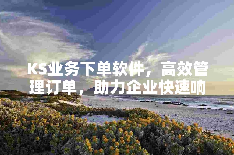 KS业务下单软件，高效管理订单，助力企业快速响应市场需求。
