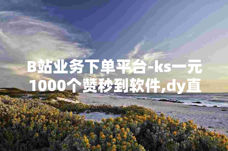 B站业务下单平台-ks一元1000个赞秒到软件,dy直播间人气在线下单。