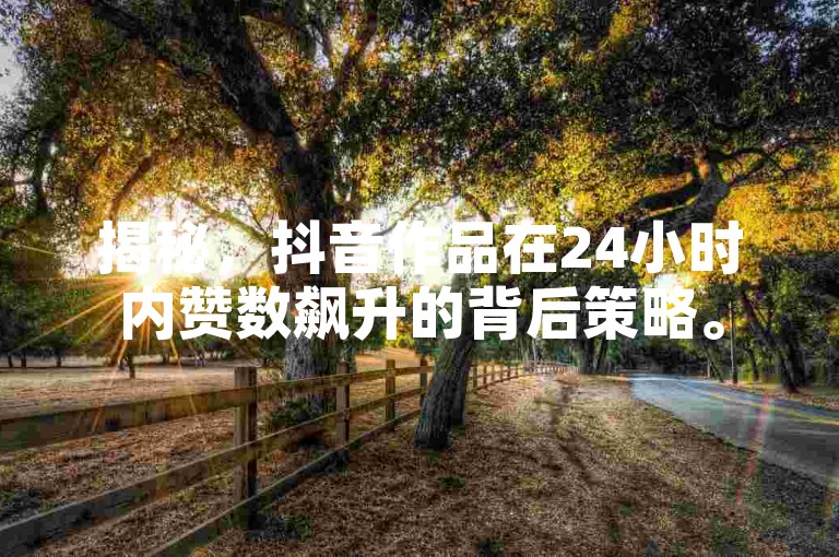 揭秘，抖音作品在24小时内赞数飙升的背后策略。