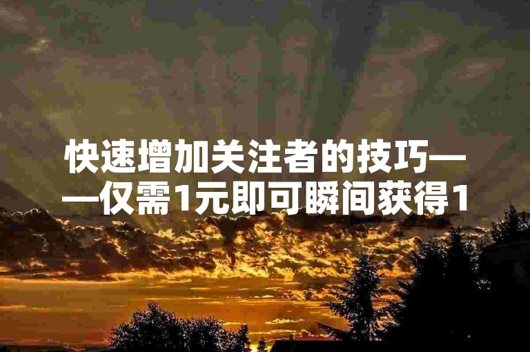 快速增加关注者的技巧——仅需1元即可瞬间获得1000个粉丝。