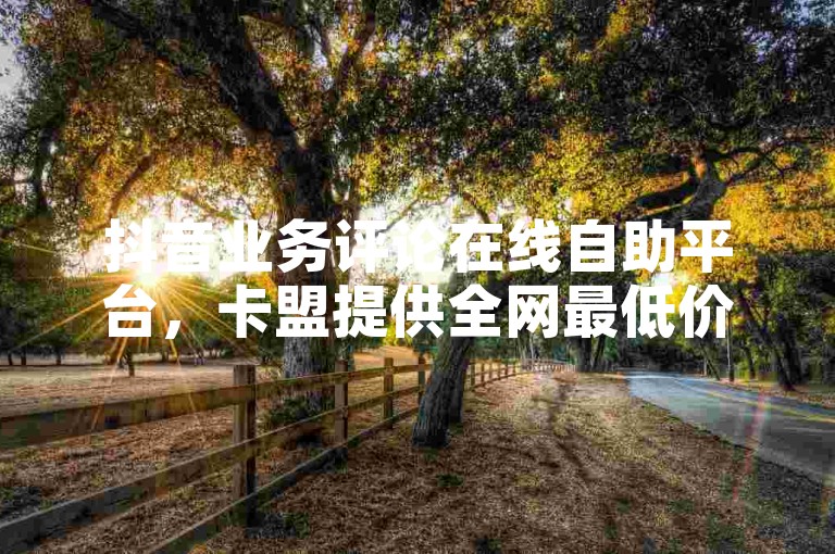 抖音业务评论在线自助平台，卡盟提供全网最低价且稳定的服务。
