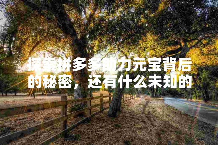 探索拼多多助力元宝背后的秘密，还有什么未知的惊喜等待我们？