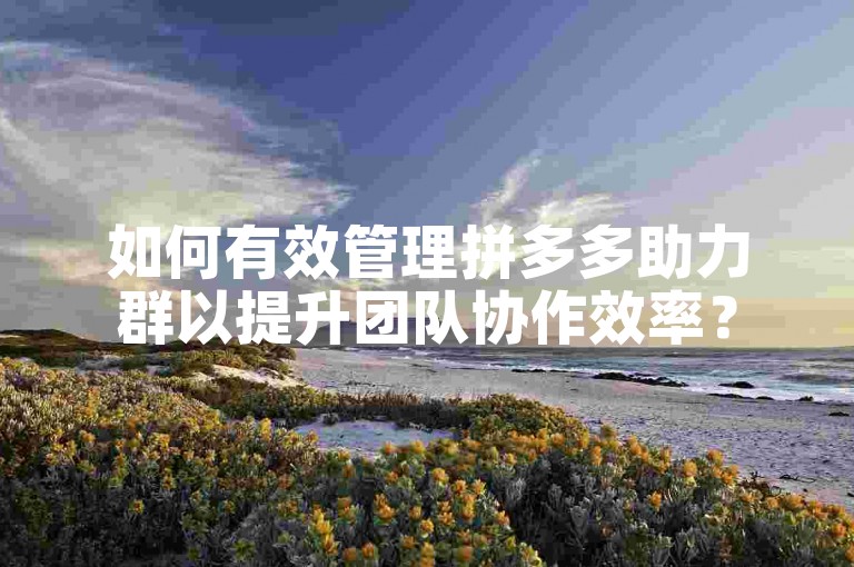 如何有效管理拼多多助力群以提升团队协作效率？