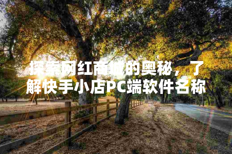 探索网红商城的奥秘，了解快手小店PC端软件名称，体验0.5自助下单的便捷，掌握QQ秒赞功能的开启方法。