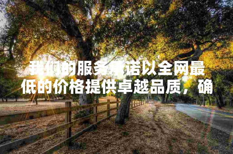 我们的服务承诺以全网最低的价格提供卓越品质，确保您的满意度远超期望！