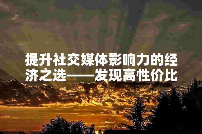 提升社交媒体影响力的经济之选——发现高性价比的点赞服务网站。