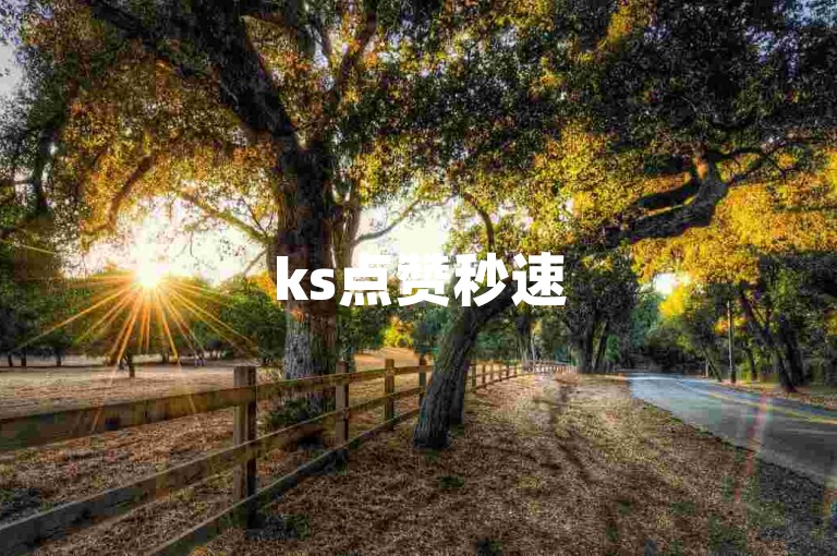ks点赞秒速5000，dy粉丝自助下单，1元购百赞，自助平台便捷服务。