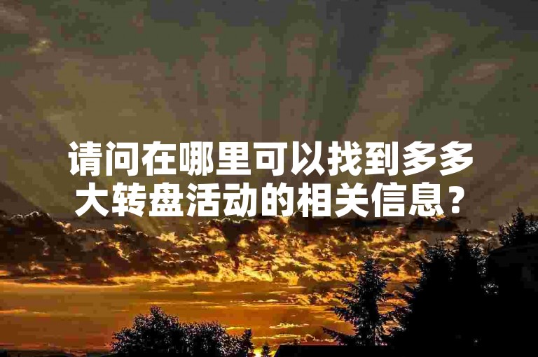 请问在哪里可以找到多多大转盘活动的相关信息？