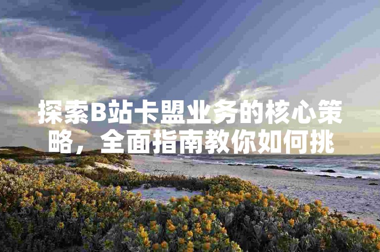 探索B站卡盟业务的核心策略，全面指南教你如何挑选及高效利用！新手入门必读！