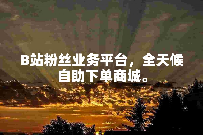 B站粉丝业务平台，全天候自助下单商城。