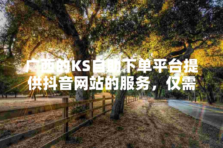 广西的KS自助下单平台提供抖音网站的服务，仅需一元就能获得一百个赞。