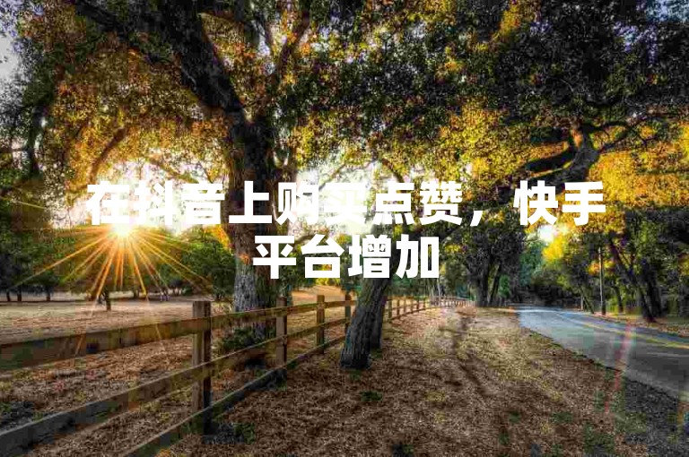 在抖音上购买点赞，快手平台增加50个赞。