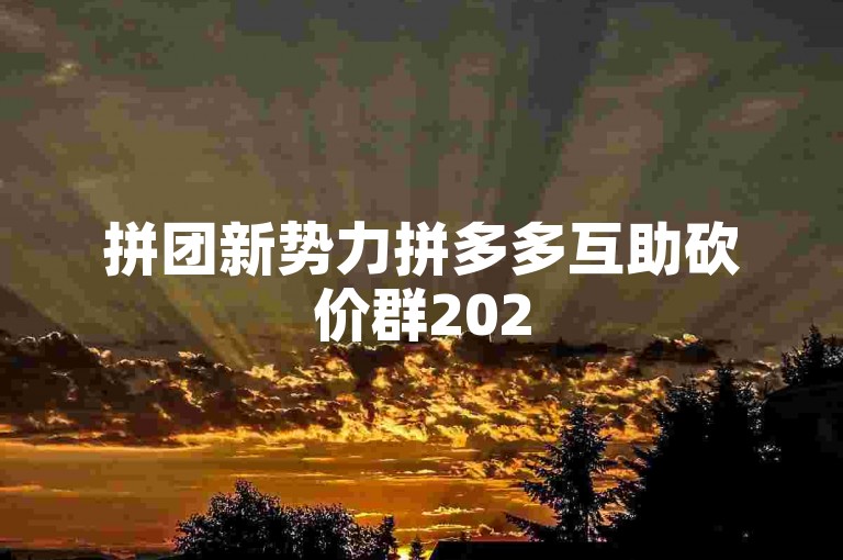 拼团新势力拼多多互助砍价群2025火热招募中！