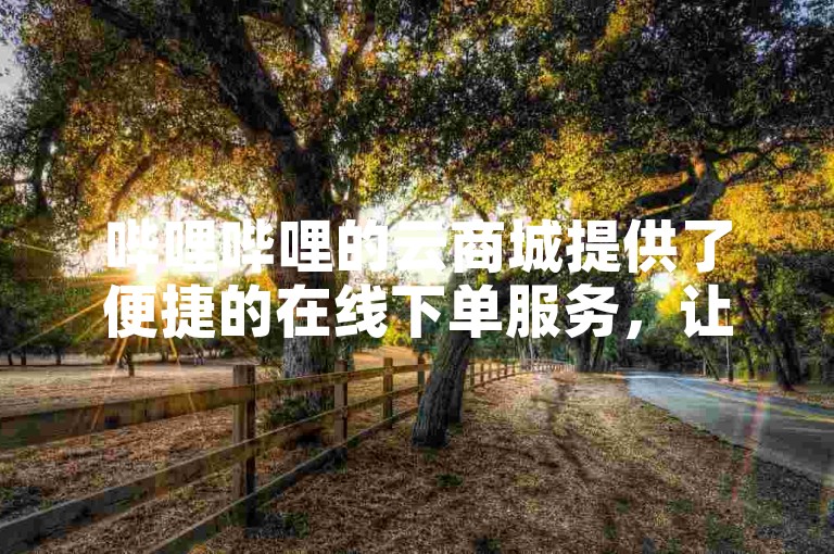 哔哩哔哩的云商城提供了便捷的在线下单服务，让用户能够轻松选购商品。