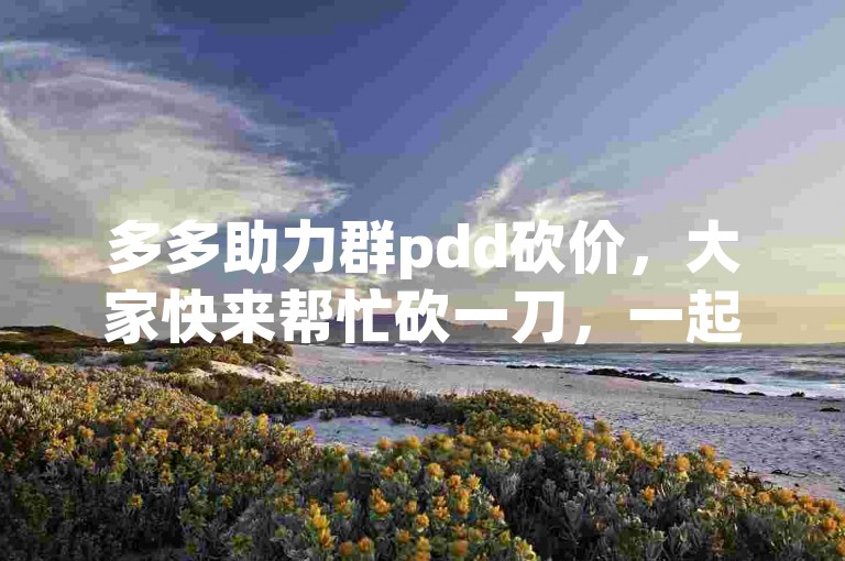 多多助力群pdd砍价，大家快来帮忙砍一刀，一起享受实惠购物的乐趣吧！