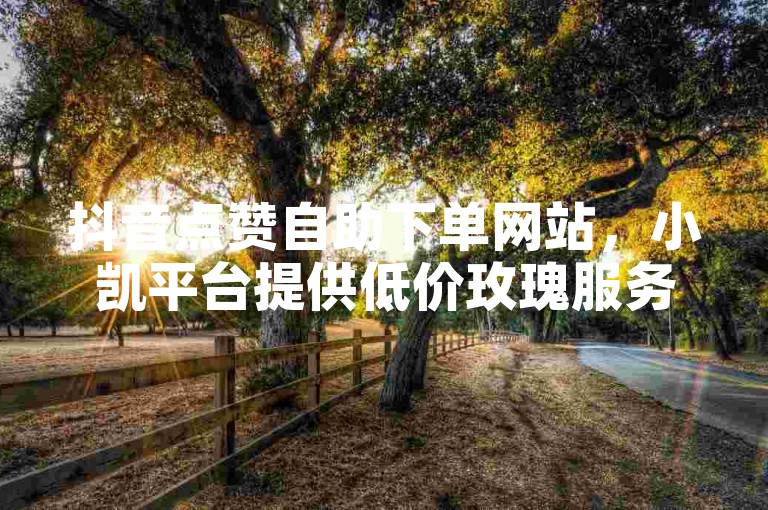 抖音点赞自助下单网站，小凯平台提供低价玫瑰服务。