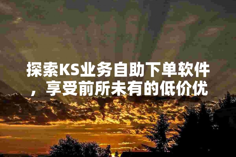 探索KS业务自助下单软件，享受前所未有的低价优惠，立即行动体验超值服务！