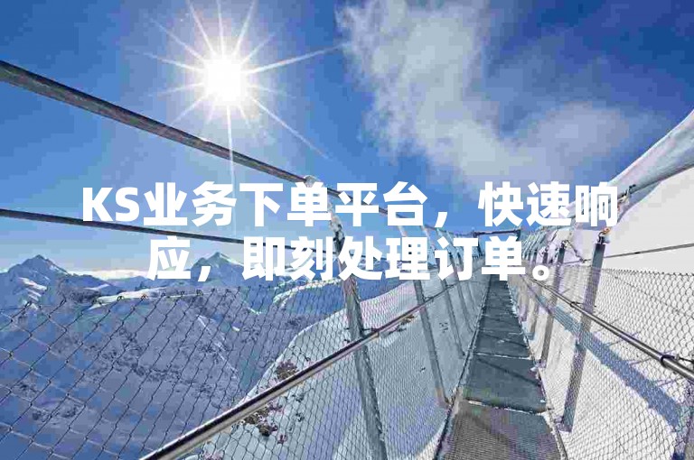 KS业务下单平台，快速响应，即刻处理订单。
